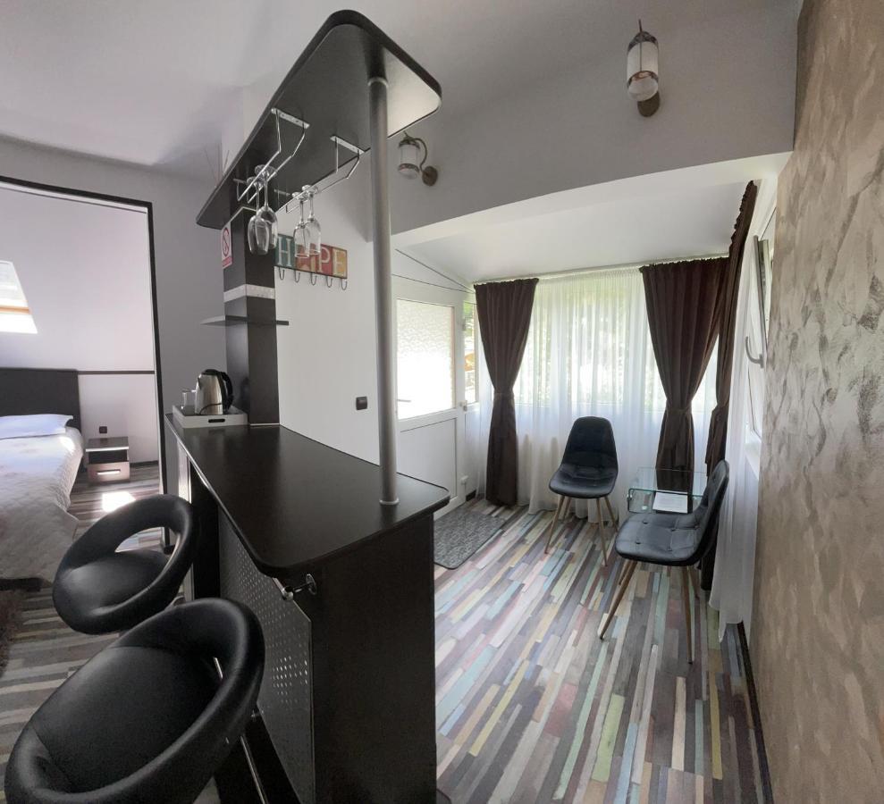 Casa Anne Marie Hotel Sinaia Ngoại thất bức ảnh